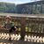 Megan Crawford Poling's profile image