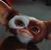 Jesse Harlon Wright's profile image