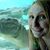 Savannah Merriman-Gault's profile image
