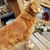 Sandi Hogan Brantley's profile image