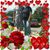 Carmin Rodriguez's profile image