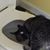 Adam Juhasz's profile image