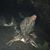 Jerry Shimek's profile image