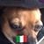 Toni de Franco's profile image