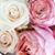 Farah Walele's profile image
