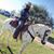 Eddie Oviedo's profile image