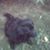 Pat Worpek's profile image