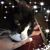 Sandy Tavarez-Lambert's profile image