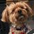 Vicki Earnest's profile image