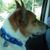 Rocio Cardenas's profile image