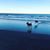 Cathy Mitchell's profile image