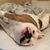 Kathleen M DeLorme's profile image