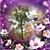 Pam Landis's profile image