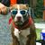 Justin Landgren's profile image