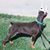 Glendora Terry's profile image