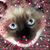 Terri Romey's profile image