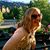 Rachel Mummey's profile image