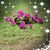 Wendy Aregood's profile image