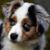Cathy Phillips's profile image