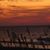 Nancy King VanBuskirk's profile image