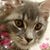Joyce Fredrick's profile image