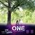 Shane-Eleni Kelley's profile image