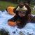 Josh Furrow's profile image