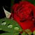 Martha Ayala's profile image