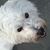 Fran Hylander's profile image