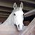 Wanda Schroeder Behrendt's profile image