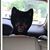 Dave Guy's profile image