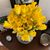 Jane Barbuto Brenner's profile image