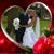 Angela DiSanto's profile image
