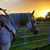 Rhonda Burkett Dracoulis's profile image