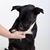 Crystal Paugh Tucker's profile image