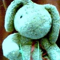 Judd Hodge's profile image