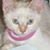 Wendy S Gordon's profile image