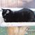 Connie Sue Field-Otten's profile image
