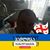 Ami Ro's profile image