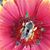 Rita Whitfield's profile image