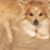 Susan Hall-Burr Bilyeu's profile image