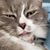 Marta Jaenke's profile image