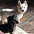 Brenda Miller's profile image