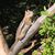 Audrey Garcia-Boyd's profile image
