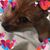 Ilana Youngheim's profile image