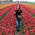 Chrissy Carrabba's profile image