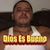 Nelson Percolla's profile image