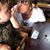 Candita Gottsponer's profile image