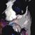 Carole Loebker Dudley's profile image