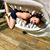 Emily Brantner's profile image